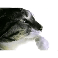 sticker image #21