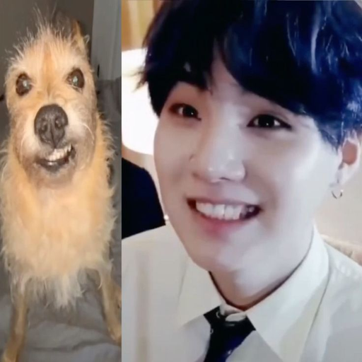 tray_icon #122137 sticker_pack