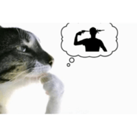 sticker image #10