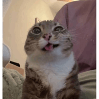 sticker image #24