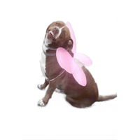 sticker image #4