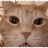 sticker image #3