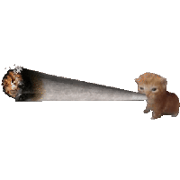 sticker image #1