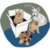 tray_icon #47256 sticker_pack