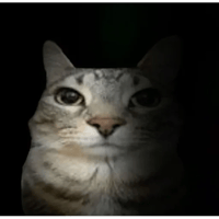 sticker image #10