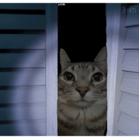 sticker image #11