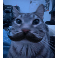 sticker image #14