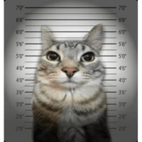 sticker image #6