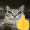 tray_icon #126991 sticker_pack