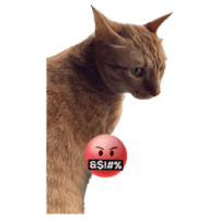 sticker image #10