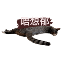 sticker image #11