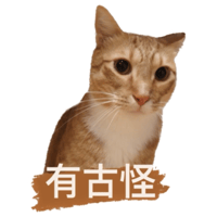 sticker image #14