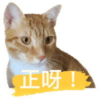 sticker image #23