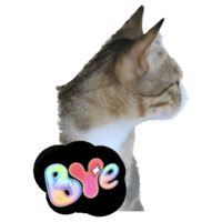 sticker image #24