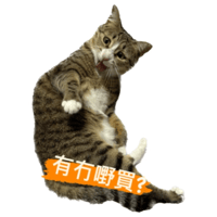 sticker image #14