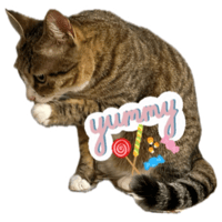 sticker image #23