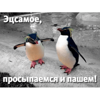sticker image #6