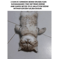 sticker image #10