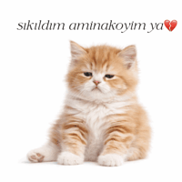 sticker image #13