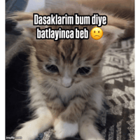 sticker image #8