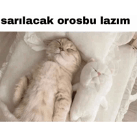 sticker image #9