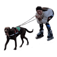 sticker image #1
